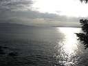 ./images/koeye/fitz-hugh/20200822/fitz-hugh20200822_183501.jpg