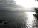 ./images/koeye/fitz-hugh/20200822/fitz-hugh20200822_184001.jpg