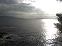 ./images/koeye/fitz-hugh/20200822/fitz-hugh20200822_184501.jpg