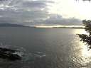 ./images/koeye/fitz-hugh/20200822/fitz-hugh20200822_192501.jpg