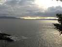 ./images/koeye/fitz-hugh/20200822/fitz-hugh20200822_193501.jpg