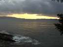 ./images/koeye/fitz-hugh/20200822/fitz-hugh20200822_200501.jpg