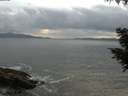 ./images/koeye/fitz-hugh/20200822/fitz-hugh20200822_204002.jpg