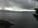 ./images/koeye/fitz-hugh/20200822/fitz-hugh20200822_212001.jpg