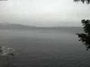 ./images/koeye/fitz-hugh/20200823/fitz-hugh20200823_055001.jpg