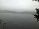 ./images/koeye/fitz-hugh/20200823/fitz-hugh20200823_055501.jpg