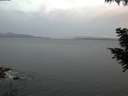 ./images/koeye/fitz-hugh/20200823/fitz-hugh20200823_062001.jpg