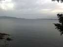 ./images/koeye/fitz-hugh/20200823/fitz-hugh20200823_064501.jpg