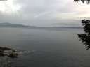 ./images/koeye/fitz-hugh/20200823/fitz-hugh20200823_065001.jpg