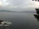 ./images/koeye/fitz-hugh/20200823/fitz-hugh20200823_065501.jpg