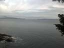 ./images/koeye/fitz-hugh/20200823/fitz-hugh20200823_071001.jpg