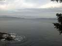 ./images/koeye/fitz-hugh/20200823/fitz-hugh20200823_071501.jpg
