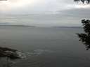 ./images/koeye/fitz-hugh/20200823/fitz-hugh20200823_072501.jpg