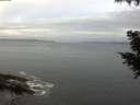 ./images/koeye/fitz-hugh/20200823/fitz-hugh20200823_073502.jpg