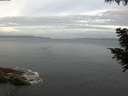 ./images/koeye/fitz-hugh/20200823/fitz-hugh20200823_074502.jpg