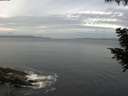 ./images/koeye/fitz-hugh/20200823/fitz-hugh20200823_075001.jpg
