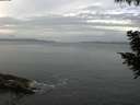 ./images/koeye/fitz-hugh/20200823/fitz-hugh20200823_075501.jpg