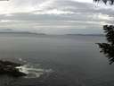 ./images/koeye/fitz-hugh/20200823/fitz-hugh20200823_080002.jpg