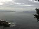 ./images/koeye/fitz-hugh/20200823/fitz-hugh20200823_080502.jpg