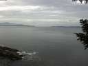 ./images/koeye/fitz-hugh/20200823/fitz-hugh20200823_081002.jpg