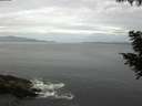./images/koeye/fitz-hugh/20200823/fitz-hugh20200823_082002.jpg