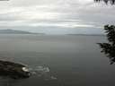 ./images/koeye/fitz-hugh/20200823/fitz-hugh20200823_082502.jpg