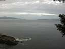 ./images/koeye/fitz-hugh/20200823/fitz-hugh20200823_083502.jpg