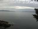 ./images/koeye/fitz-hugh/20200823/fitz-hugh20200823_085501.jpg