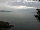 ./images/koeye/fitz-hugh/20200823/fitz-hugh20200823_090501.jpg