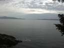 ./images/koeye/fitz-hugh/20200823/fitz-hugh20200823_091001.jpg