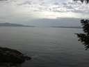 ./images/koeye/fitz-hugh/20200823/fitz-hugh20200823_091501.jpg