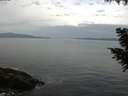 ./images/koeye/fitz-hugh/20200823/fitz-hugh20200823_092001.jpg