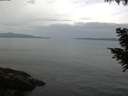 ./images/koeye/fitz-hugh/20200823/fitz-hugh20200823_092501.jpg