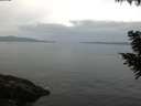 ./images/koeye/fitz-hugh/20200823/fitz-hugh20200823_093501.jpg