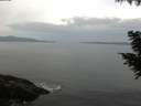 ./images/koeye/fitz-hugh/20200823/fitz-hugh20200823_094001.jpg