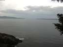 ./images/koeye/fitz-hugh/20200823/fitz-hugh20200823_094501.jpg