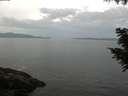./images/koeye/fitz-hugh/20200823/fitz-hugh20200823_095001.jpg