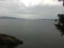 ./images/koeye/fitz-hugh/20200823/fitz-hugh20200823_103501.jpg
