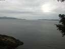 ./images/koeye/fitz-hugh/20200823/fitz-hugh20200823_105001.jpg