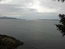 ./images/koeye/fitz-hugh/20200823/fitz-hugh20200823_105501.jpg