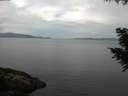 ./images/koeye/fitz-hugh/20200823/fitz-hugh20200823_110502.jpg