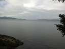 ./images/koeye/fitz-hugh/20200823/fitz-hugh20200823_111502.jpg