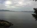 ./images/koeye/fitz-hugh/20200823/fitz-hugh20200823_112002.jpg