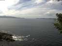 ./images/koeye/fitz-hugh/20200823/fitz-hugh20200823_131501.jpg