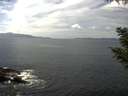 ./images/koeye/fitz-hugh/20200823/fitz-hugh20200823_140002.jpg