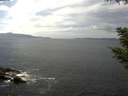 ./images/koeye/fitz-hugh/20200823/fitz-hugh20200823_140502.jpg