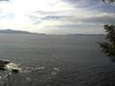 ./images/koeye/fitz-hugh/20200823/fitz-hugh20200823_144002.jpg