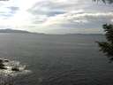 ./images/koeye/fitz-hugh/20200823/fitz-hugh20200823_145002.jpg