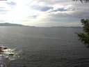 ./images/koeye/fitz-hugh/20200823/fitz-hugh20200823_145502.jpg