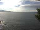 ./images/koeye/fitz-hugh/20200823/fitz-hugh20200823_150501.jpg